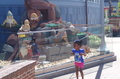 IMGP0845.JPG (JPEG)